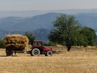 agricola