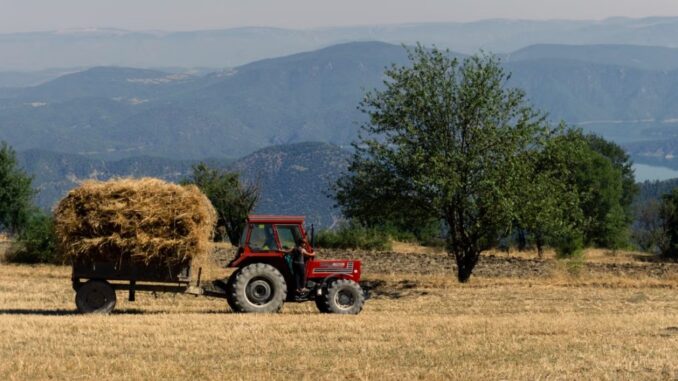 agricola