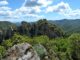 foresta